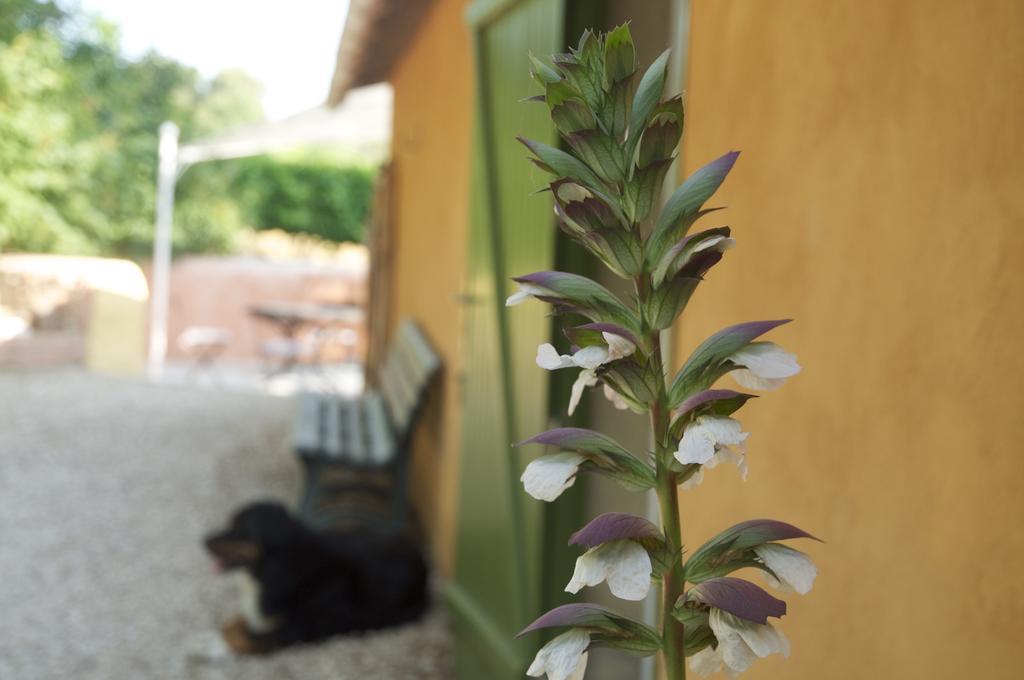 Le Petit Bacalan Villa Mormoiron Værelse billede
